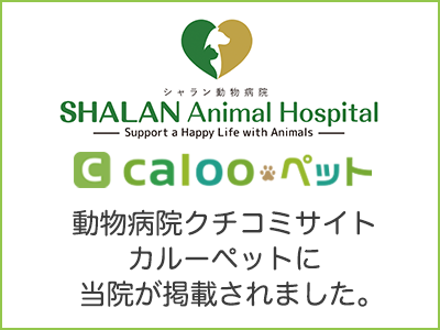 動物病院口コミサイトカルーペットに当院が掲載されました
