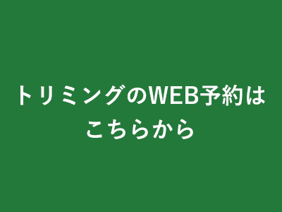 動物病院口コミサイトカルーペットに当院が掲載されました